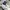 JORDAN JOGER PANTS
 photo 7