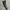 BLACK NUMBER JOGER PANTS photo 1