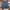 Jorts pants By Seanjohn photo 2