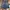 Jorts pants By Seanjohn photo 4