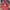 Boxy jacket oversize photo 1