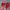 sendal slop merah photo 2