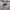 Nike Streetwear Y2K Sweater Pria silver gray photo 2