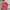 Kanken backpack size 16L  photo 1