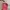Kanken Backpack Size 16L 