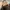 Longchamp MLH ( medium long handle ) ebony photo 6