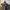 Longchamp MLH ( medium long handle ) ebony photo 3