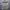 Casual Sportswear Hoody Wanita gray photo 1