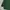 Casual Track jacket Wanita green photo 4