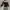 Dress Alfe Vivienne Size S Wine photo 2
