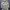 Japanese Brand Casual Y2K Trench Coat Wanita White