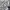 Japanese brand Casual Y2K Trench coat Wanita white photo 3