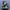 Nike Streetwear Y2K Sneakers Pria white black photo 1