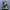 Nike Streetwear Y2K Sneakers Pria White Black