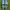 Adidas spezial ice blue  photo 4