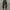FOG JOGER PANTS BLACK photo 4