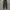 FOG JOGER PANTS BLACK photo 3
