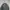 Spao Crewneck Military photo 2