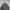 Spao Crewneck Military