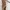 Slit Long Dress (Latte) - Gemme In Love photo 1