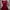 MINI DRESS MAROON