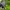 BACPACK TACTICAL OAKLEY VINTAGE 2000s TAS RANSEL photo 1
