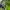 BACPACK TACTICAL OAKLEY VINTAGE 2000s TAS RANSEL