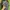 BACPACK TACTICAL OAKLEY VINTAGE 2000s TAS RANSEL photo 5