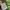 BACPACK TACTICAL OAKLEY VINTAGE 2000s TAS RANSEL photo 6