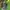 BACPACK TACTICAL OAKLEY VINTAGE 2000s TAS RANSEL photo 8