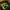 Lego Minecraft Creeper Head photo 4