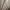 ES Brown flared cargo pants Tagged photo 3