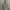 ES Brown flared cargo pants Tagged photo 2