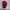 thisisneverthat Streetwear T-shirt Pria burgundy photo 3