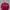 thisisneverthat Streetwear T-shirt Pria burgundy photo 1