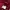 thisisneverthat Streetwear T-shirt Pria burgundy photo 8