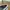 Hush puppies women sneakers photo 7