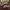Hush puppies women sneakers photo 1