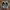 Hush puppies women sneakers photo 2