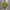 H&M Y2K Casual Hoody Wanita Green