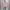 COLORBOX Coquette Casual Cardigan Wanita Pink
