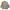 Sand Maire Blazer