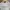 Stradivarius Y2K Casual Crop top Wanita white photo 2