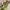 Juicy Couture Velour Shoulder Bag photo 6