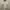 WEAR GOENA BACKLESS BODYSUIT BROKEN WHITE photo 1