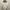 WEAR GOENA BACKLESS BODYSUIT BROKEN WHITE photo 2
