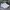 Sepatu Sneaker Outdoor Running Declan Studio White Marvic