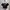 H&M Y2K Casual Crop Top Wanita Black