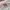 French Danton Canvas Fatigue Pants photo 3