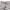 French Danton Canvas Fatigue Pants photo 2